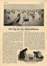 Jeden dzień u rybaków ostryg Cancale Normandia Hodowla ostryg Rybołówstwo v.1903