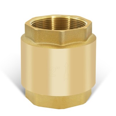 2'' NPT Brass Vertical Check Valve NPT Thread Vertical Lead-Free In-Line Sprin...