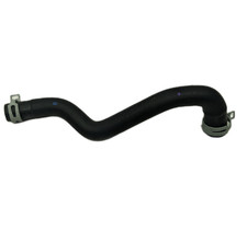 Ford 2030413 Cooling System Hose for Ranger T6 MK1