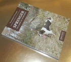 Vladimiro Palmieri SPRINGER UN CANE DA SCHIOPPO Innocenti Editore 2016