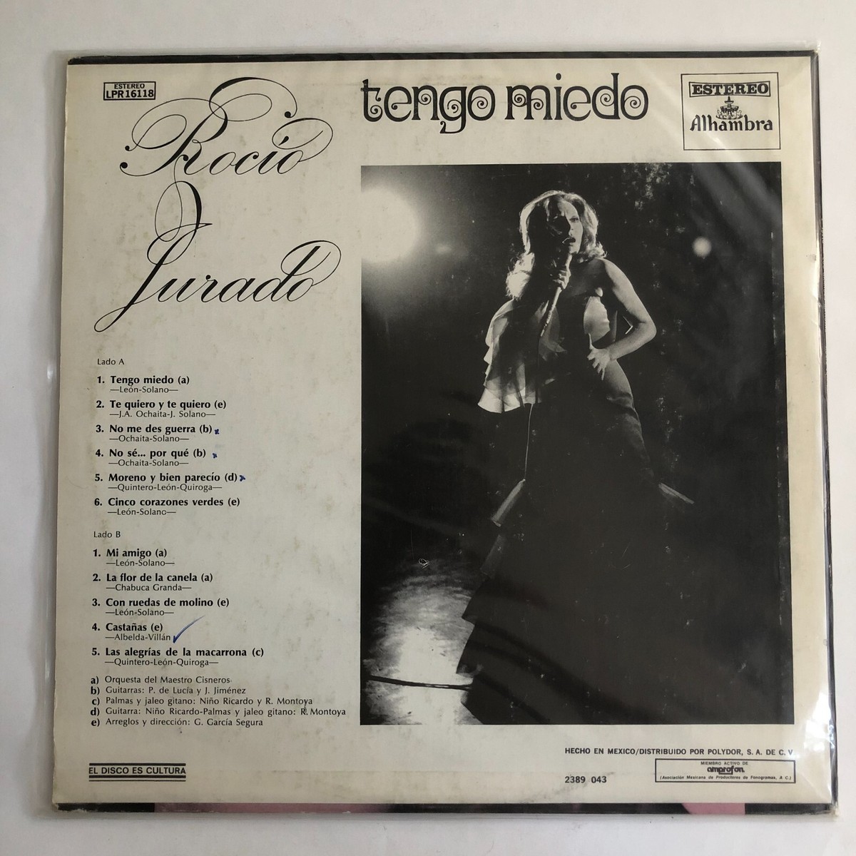 ROCIO JURADO - TENGO MIEDO - 1973 MEXICAN LP, LATIN POP | eBay