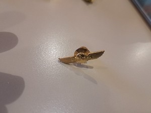 vintage CAPITAL AIRLINES Pilot hat brass pin/badge, 3-1/2". Very good condition