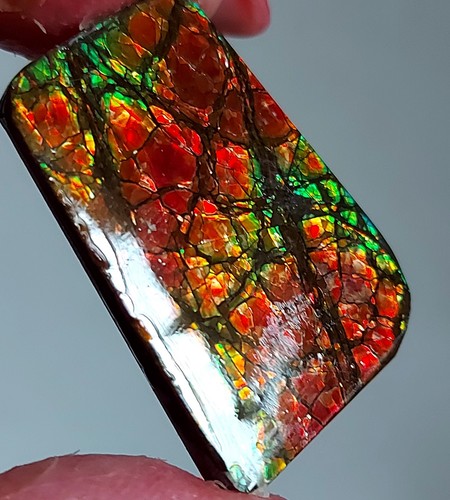 Ammolite Ammonite Coated Stone 37x26x4mm 19180 - Picture 3 of 5