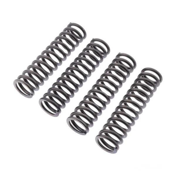 Kupplungsfedern VerstäRkt EBC 4Stk CSK217 FüR Kawasaki Z 750 S Bj. 2005-2006-image