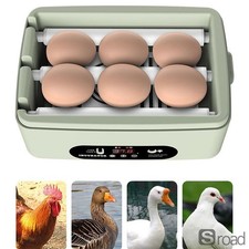 Mini 6-Egg Incubator, Automatic Turner  Temperature Control, USB Powered