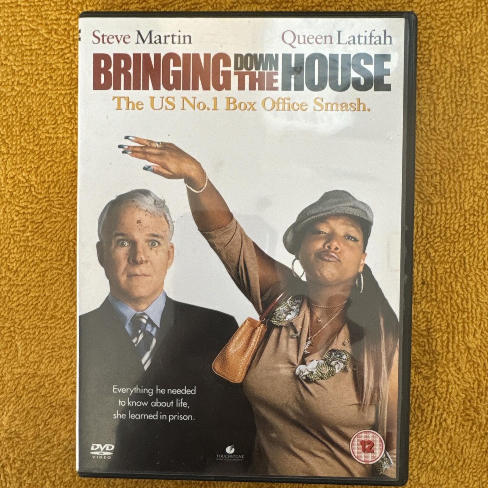 Bringing Down The House (DVD, 2004) (407)