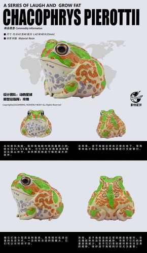 Animal Cuerpo Celestial 20 Rana Caja Ciega Figura Agalychnis callidryas Figura Resina - Imagen 11 de 35
