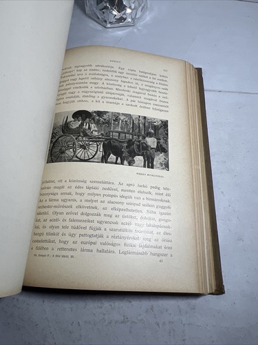 1906 EAST & DUTCH INDIES, INDIA - Aden to Java: Gaspar Ferencz. Hardcover, RARE - Picture 9 of 24