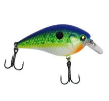 Cast Cray Square Bill - Citrus Shad