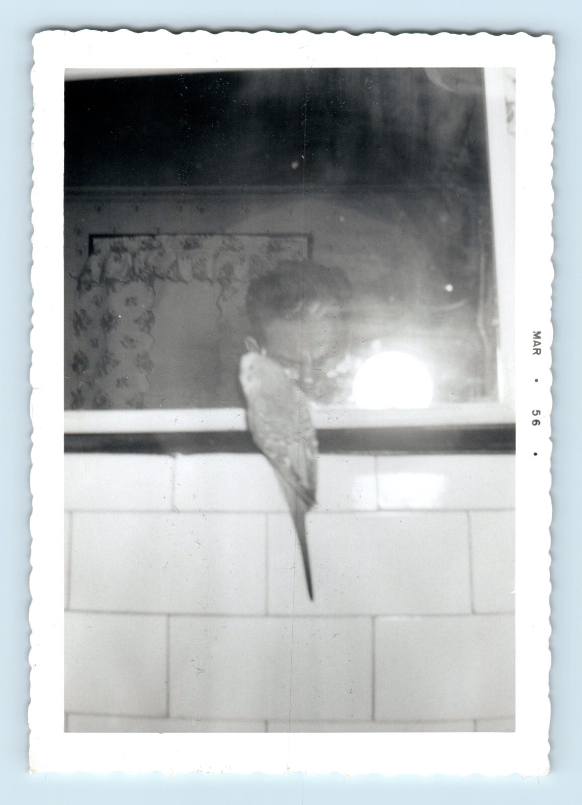 Picture 1