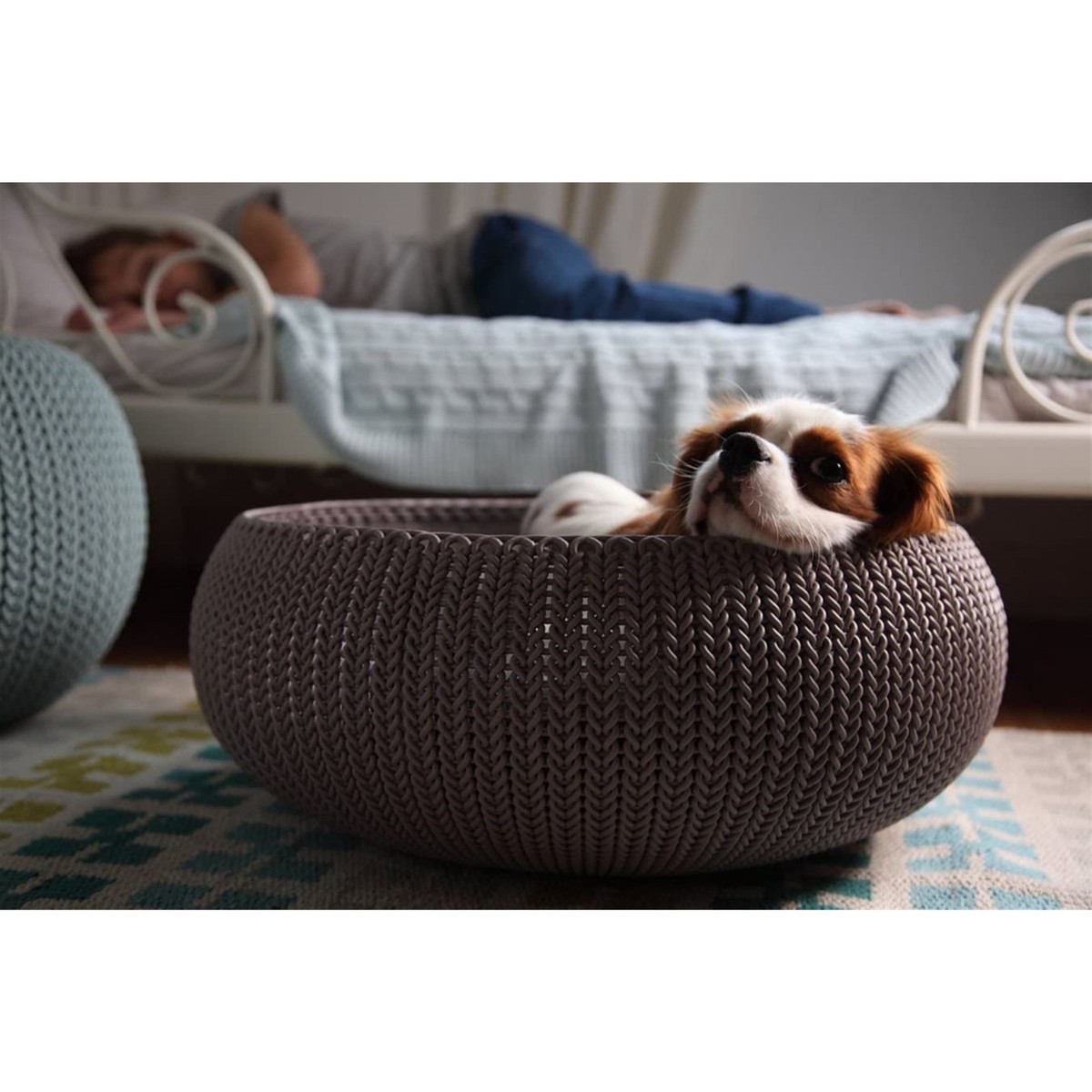 Keter by Curver Knit Cozy Resin Plastic Pet Bed for Dogs and Cats