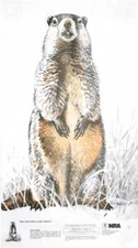 NRA Groundhog Life-Size Game Targets (HF 07960), 14" x 24" (10)