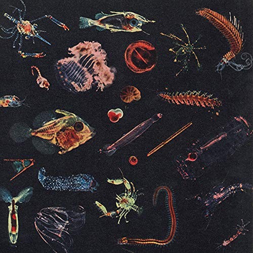 Алессандро Фиори Планктон (CD)