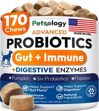 Probiotics for Dogs - 170 Dog Chews Digestive Enzymes  Prebiotics Support Gut