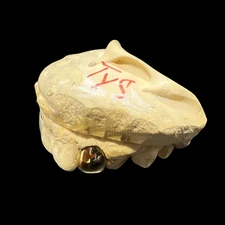 CUSTOM ONE TOOTH (CAP GRILLZ) GOLD GRILLZ