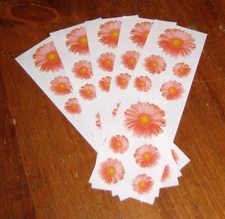 Mrs. Grossman Lot of Five Photo Essence Sticker Sheets ~ Gerber Daisies