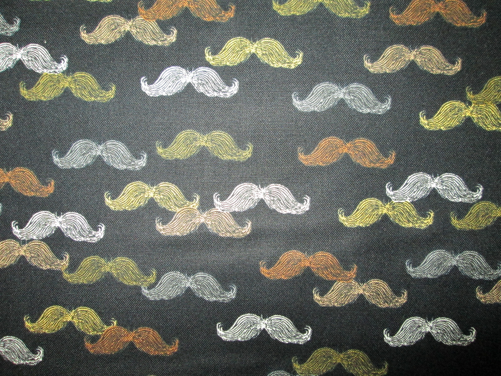 Picture 6 of 11