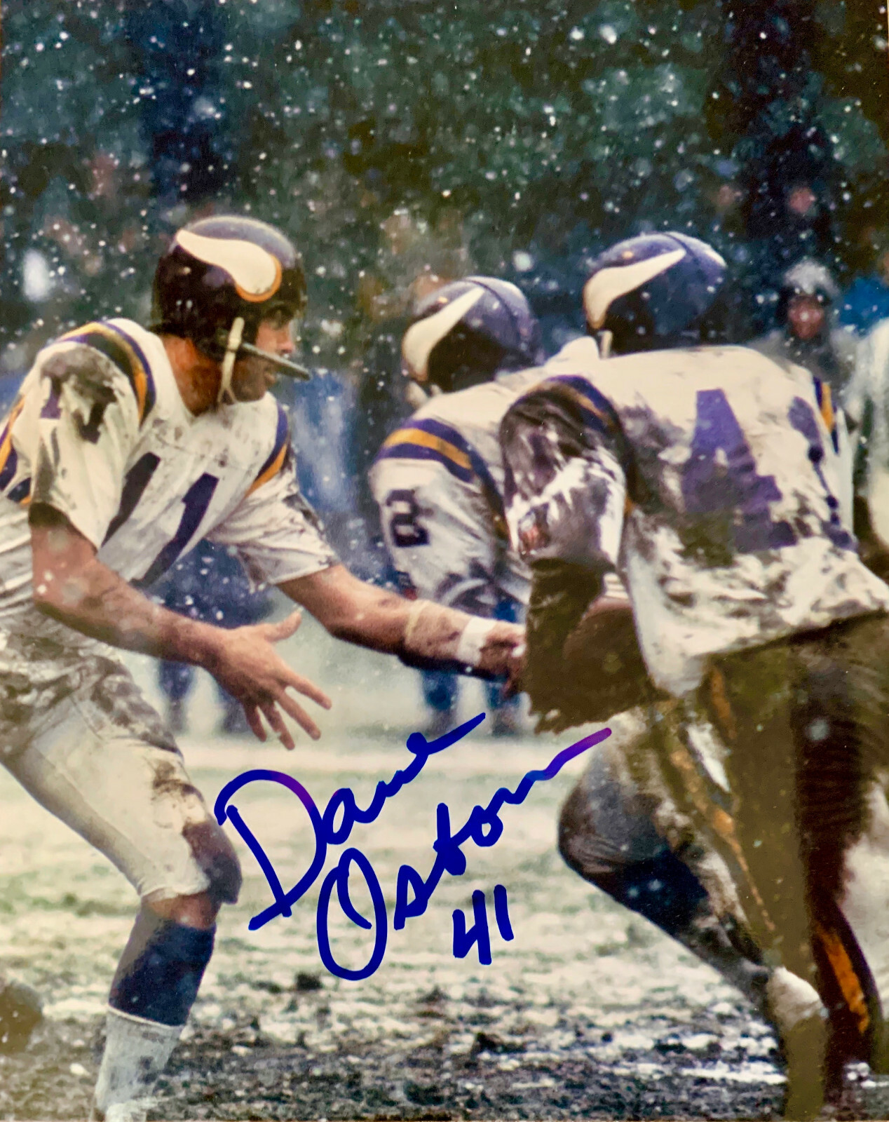 Dave Osborn #41  MN. Vikings Great 8x10 Photo #11  W/COA 