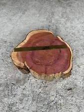 Cedar Wood Slice with Live Edge 13" Round 3" Thick