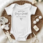 Personalised Hello Nanny & Grandad See You Grandparents New Baby Bodysuit