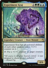 Experiment Kraj Set: RNA Guild Kit - LP