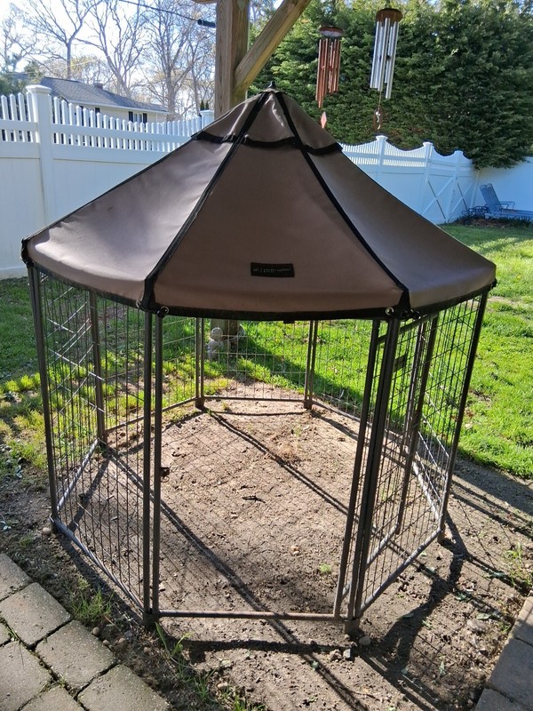 Advantek Pet Gazebo 