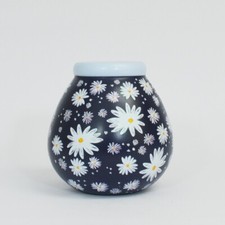 Pot of Dreams Daisy, Ceramic, Multicolor, One Size