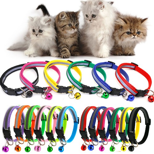 flashing cat collars