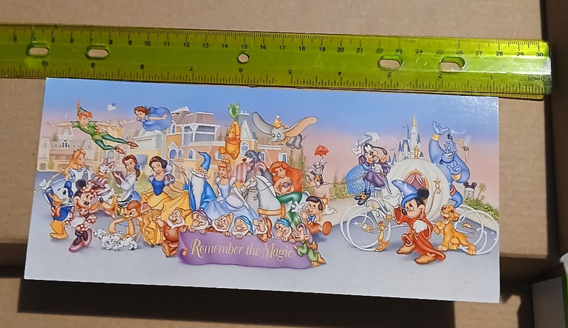 Disney Very Long Remember the Magic Aladdin Mickey Belle Snow White Postcard