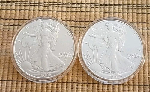 2-2025 American Silver Eagle .999 Fine 1 oz Silver Coins