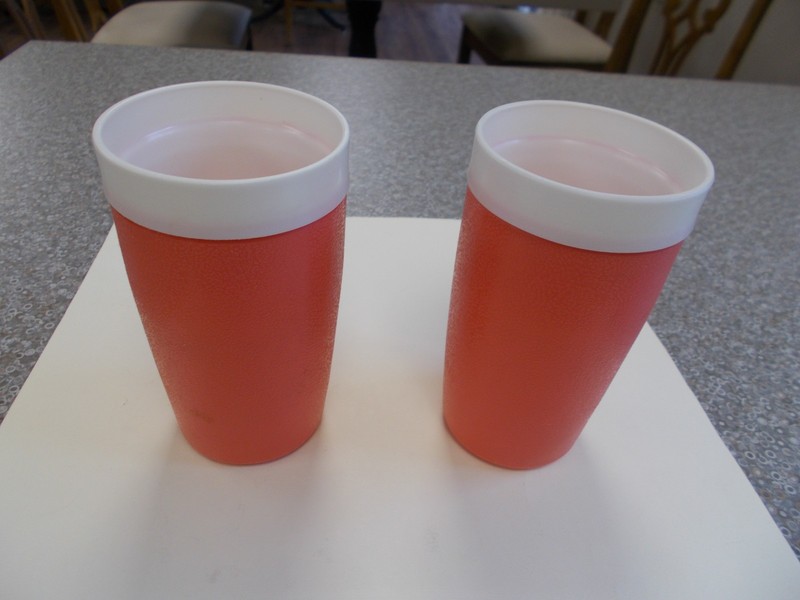 Vintage Bolero Therm-O-Ware Glasses Orange Lot/2 Five" Tall  Supports Cat Rescue