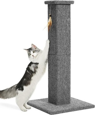 Made4Pets Cat Scratching Post, 32 Inch Carpet Covered Cat Scratcher with Kitten