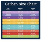 Gerber Girls Take Me Home 3 Piece Set - Love Me Size 0-3 months NWT — photo 5