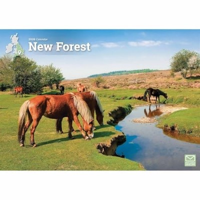 Carousel Worldwide, New Forest 2026 A4 Wall Calendar