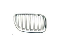Gitter Grill Vorne Rechts BMW X5 E53 2004-2007 Verchromt/Grau