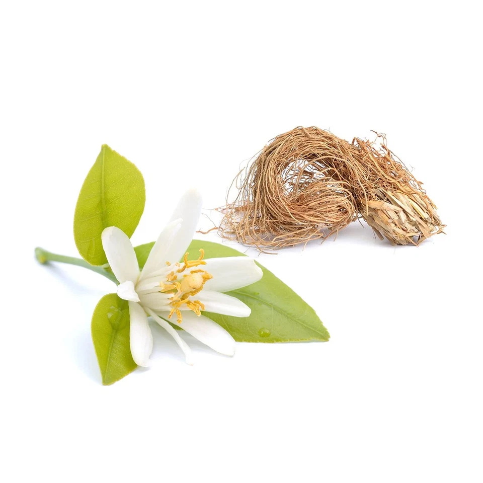 Derek Lam 10 Crosby Rain Day Perfume Etéreo Fresco 5.9 Fl Oz Larga Duración Foto 4 de 4