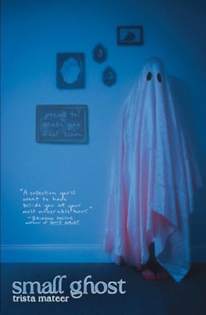 Small Ghost by Trista Mateer (Paperback Book)