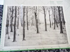 Tri Chem Ready To Paint Craft Liquid Embroidery 7476 Country Paths Trees Forest