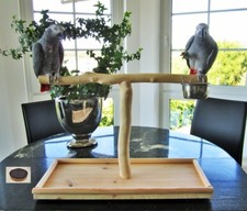 Freisitz für Tisch, Anrichte, Schrank, Papageienfreisitz,Papageienspielzeug, neu