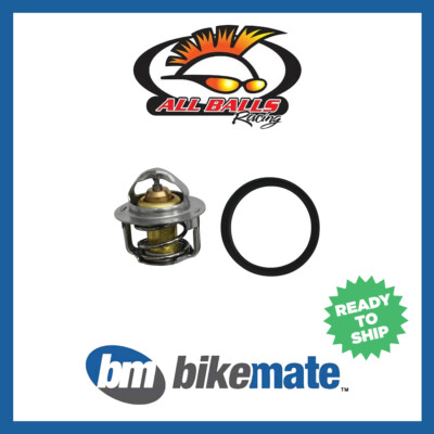 MOTEUR THERMOSTAT POUR RANGER 4X4 800 EFI ALL OPTIONS 2011 La Référence - Foto 8