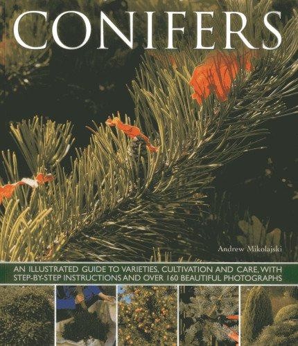 Conifers: An Illustrated Guide to Varieties, Cultivation... - Andrew Mikolajski