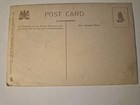 Early 1900's Raphael Tuck Oilette Postcard "I'M OFF"  Rider Thrown From Horse — photo 4