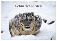 "Calendar 2027 · US Version · Schneeleoparden (Wall Calendar 2027 17\" × 12\" Lands"
