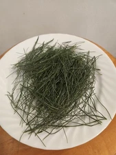 Eastern White Pine Fresh Needles, 2 oz - High Vitamin C