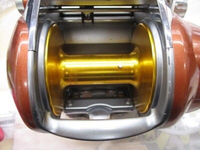 Daiwa SEABORG 750MT Tハンドル付き s-l400.jpg