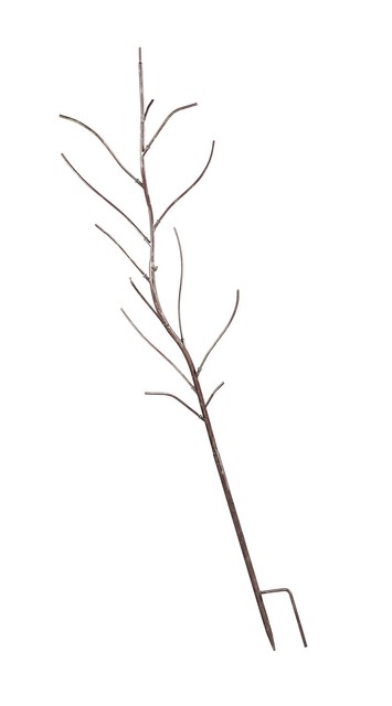 Evergreen Garden Metal Bottle Tree And Bottle Garden Décor 5 Foot Bottle Tree