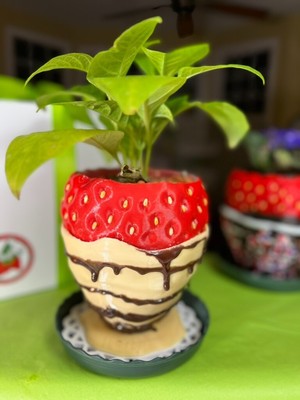 Novelty Planter  Chocolate Covered Strawberry for 4'' Diameter Plant (N)