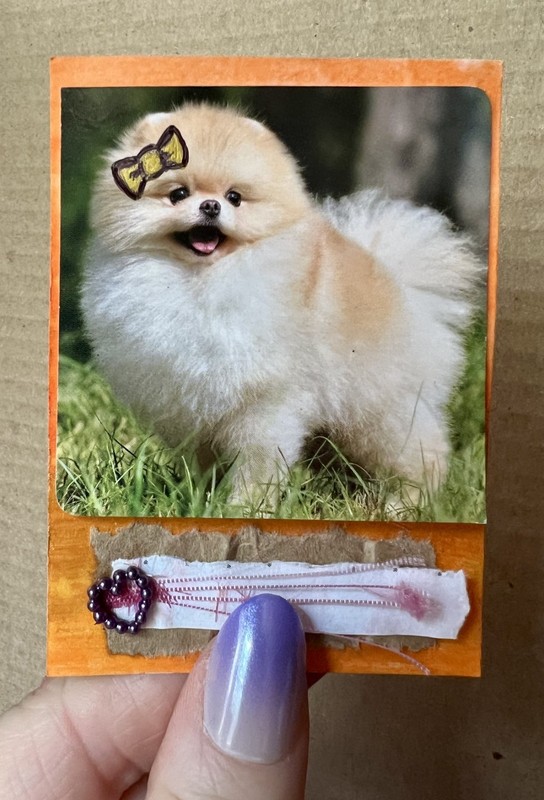 ACEO Original Pomeranian Collage Card 3x2.5 6of6 Whimsical firebutterfly NixR
