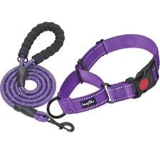 haapaw 2 Packs Martingale Dog Collar with Quick Release Buckle Reflective Dog...
