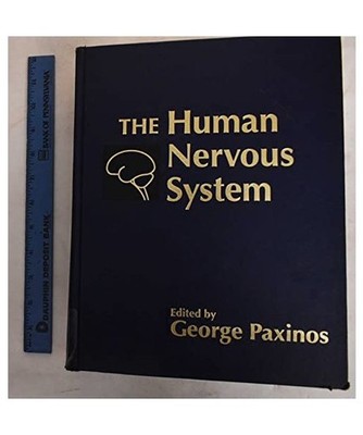 The Human Nervous System